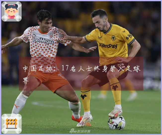 中国足协：17名人士终身禁入足球界